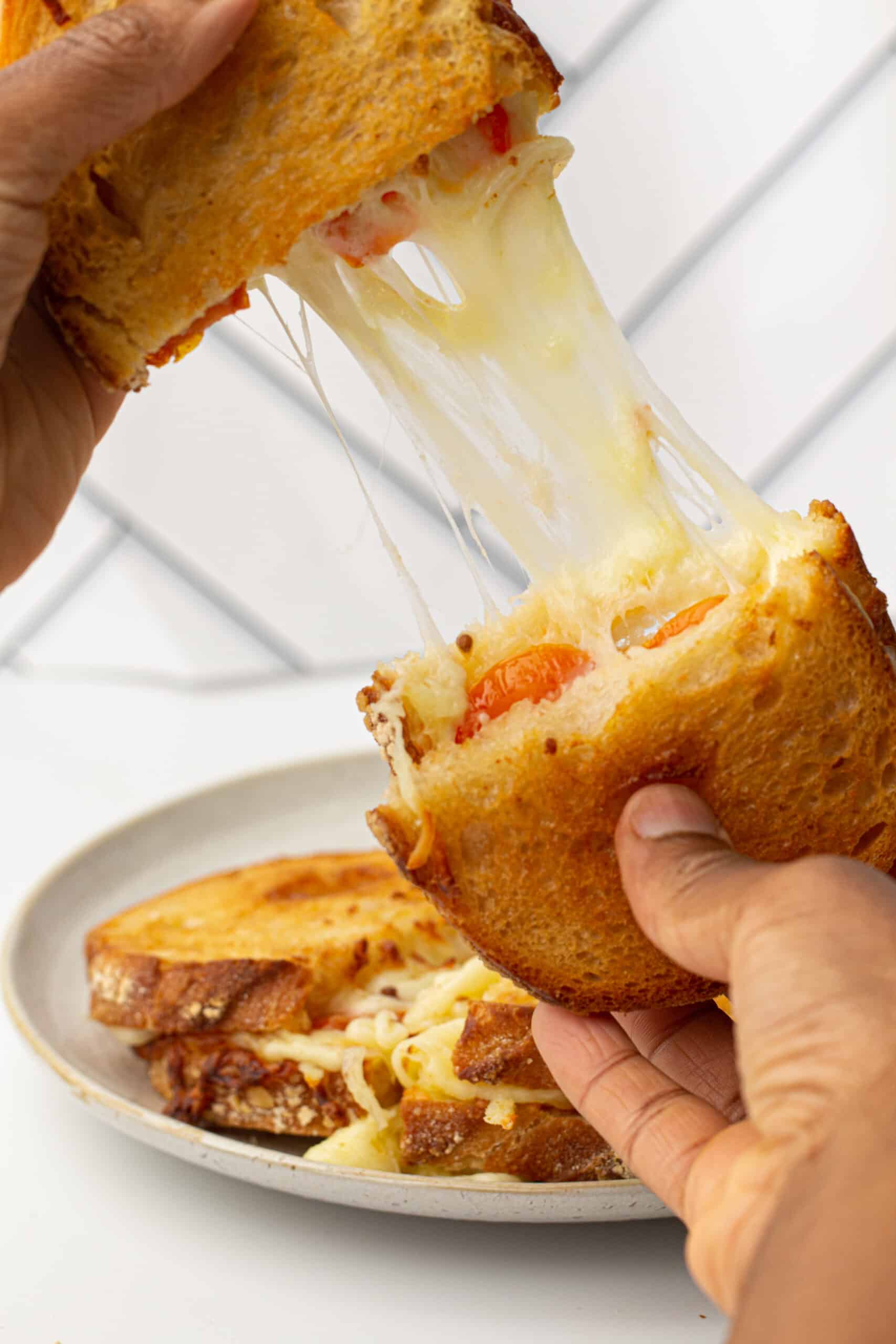 Air Fryer Grilled Cheese and Tomato