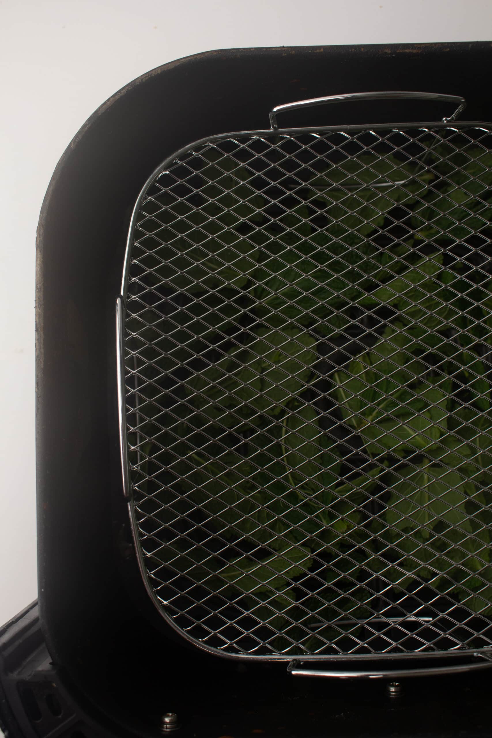 Mint in the air fryer - with a cover 