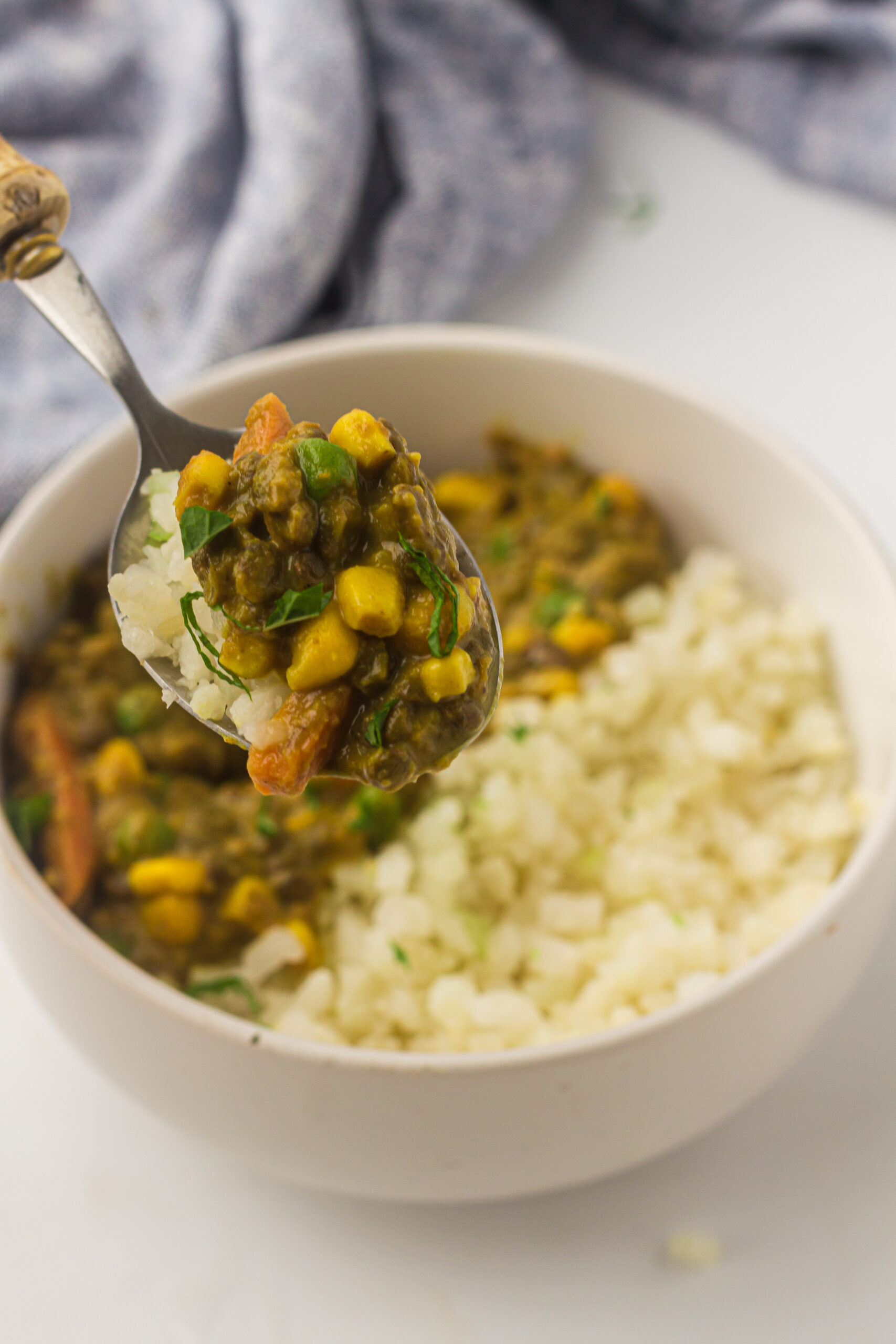 Lentil and Vegetable Curry with Rice